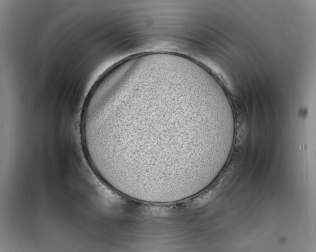 X0000100981086200807151409