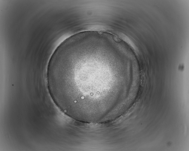 X0000100981087200807151409