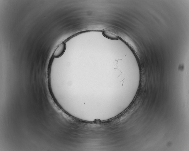 X0000100981088200807151409