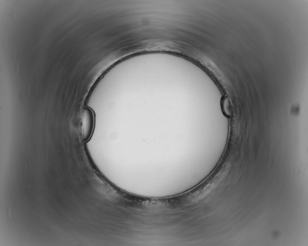 X0000100981089200807151409