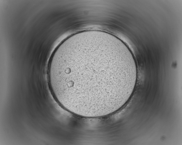 X0000100981090200807151409