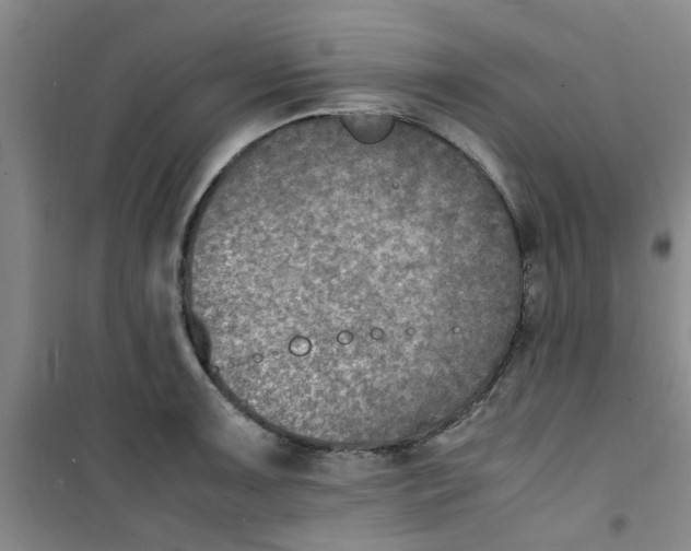 X0000100981091200807151409