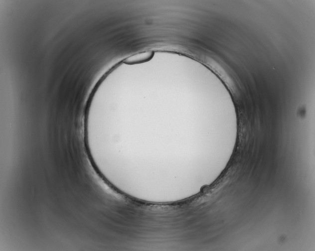 X0000100981092200807151409