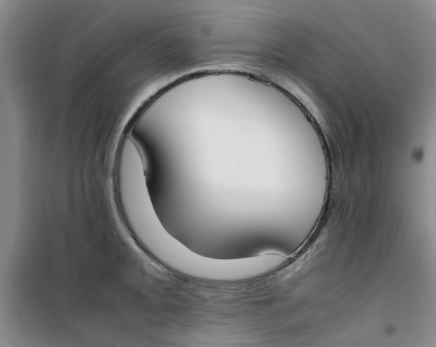 X0000100981093200807151409