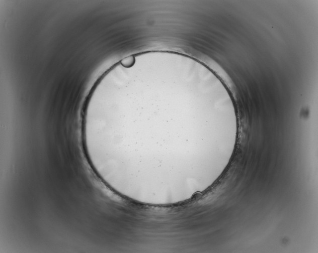 X0000100981096200807151409