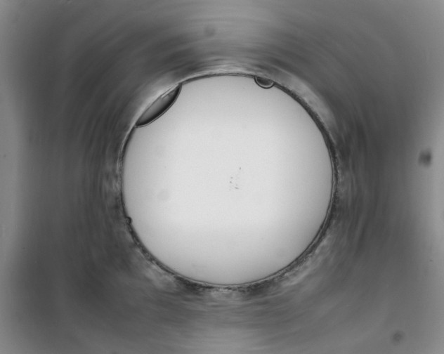 X0000100981097200807151409