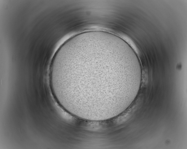 X0000100981098200807151409