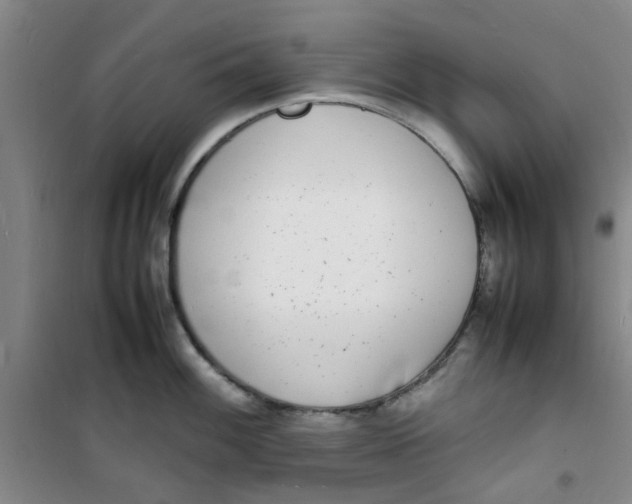 X0000100981100200807151409