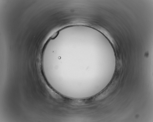 X0000100981101200807151409