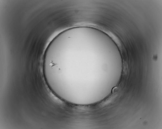 X0000100981102200807151409