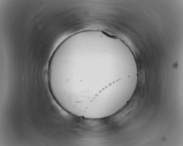 X0000100981103200807151409