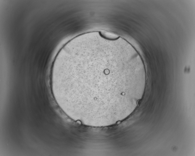 X0000100981104200807151409