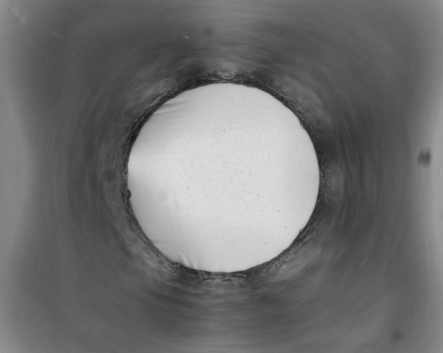 X0000100981105200807151408