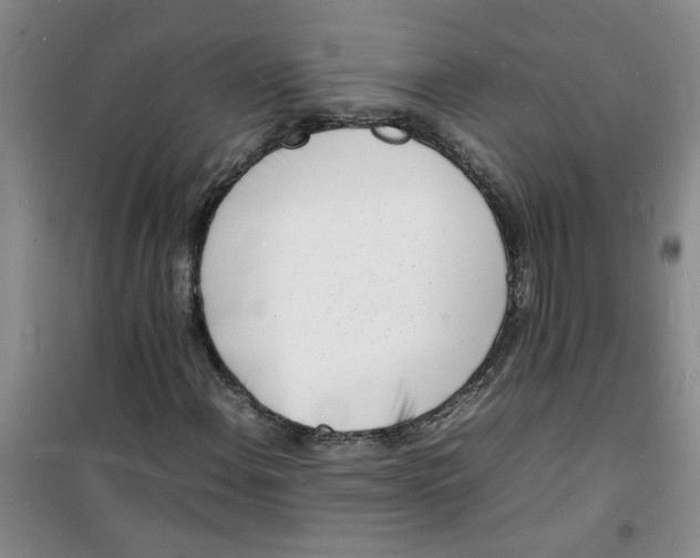 X0000100981108200807151409