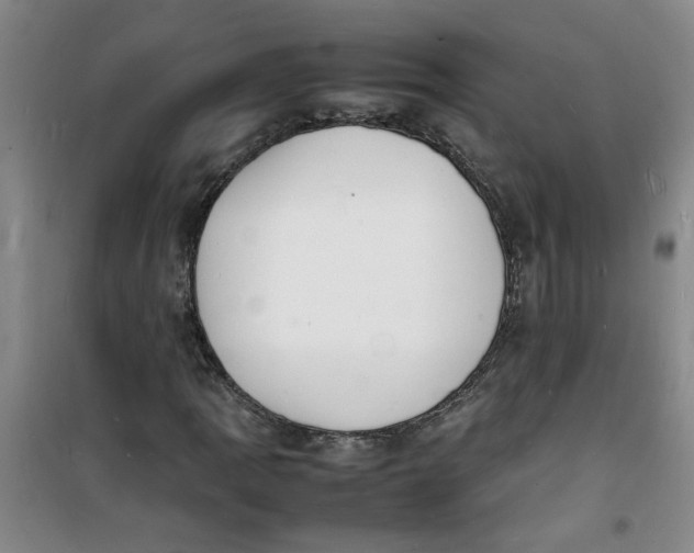 X0000100981109200807151409