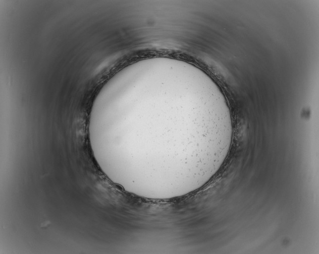 X0000100981110200807151409