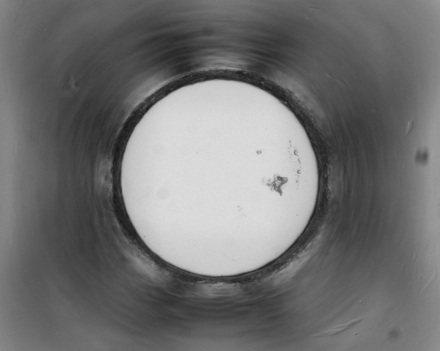 X0000100981113200807151409