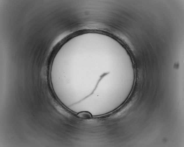 X0000100981114200807151409