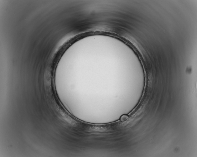 X0000100981115200807151409