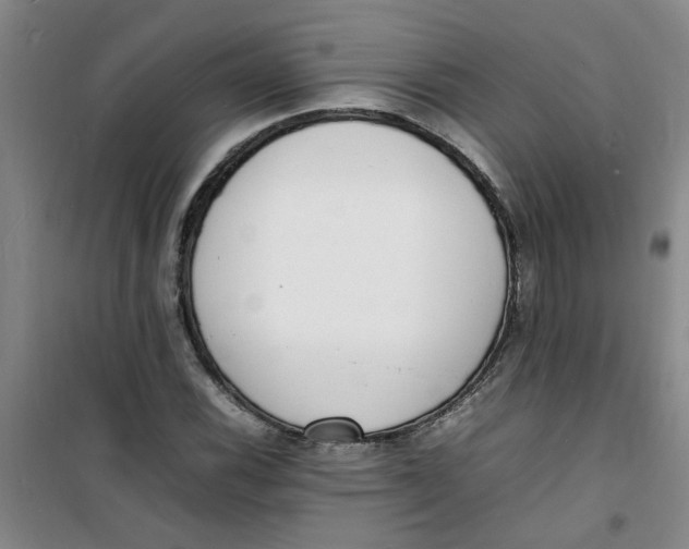 X0000100981116200807151409