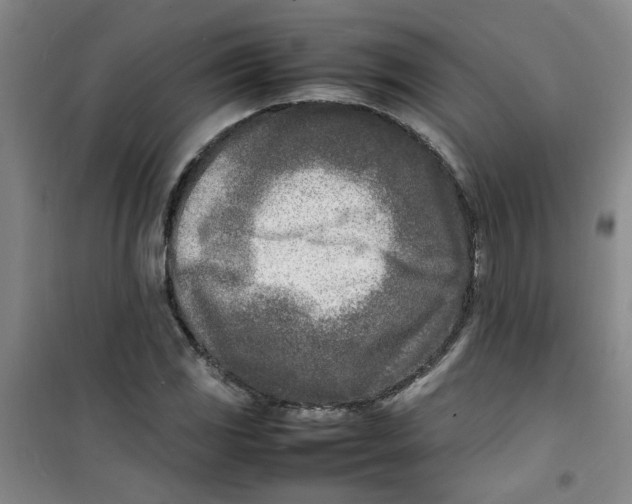 X0000100981117200807151409