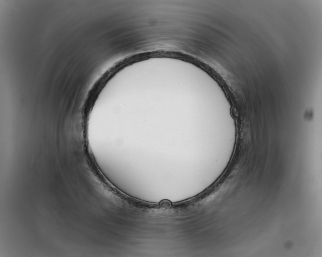 X0000100981118200807151409