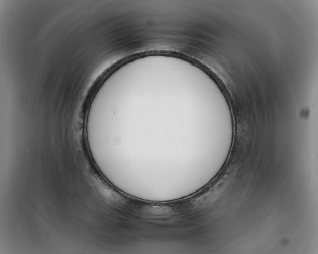 X0000100981119200807151409