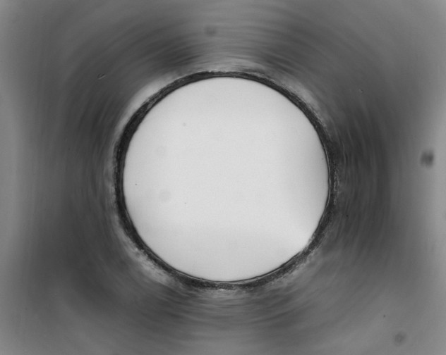 X0000100981122200807151409