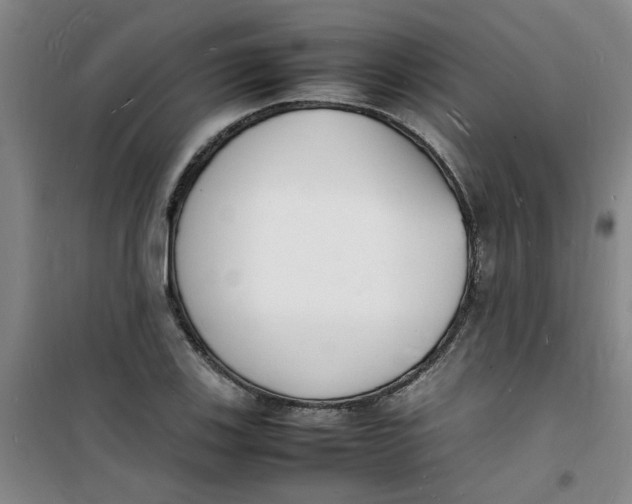 X0000100981123200807151409