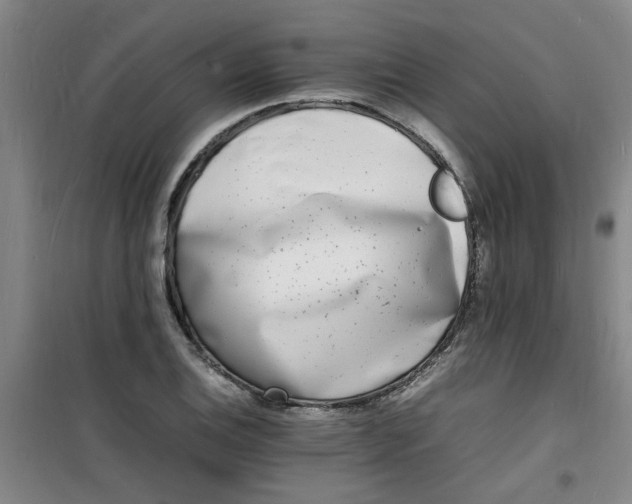 X0000100981124200807151409