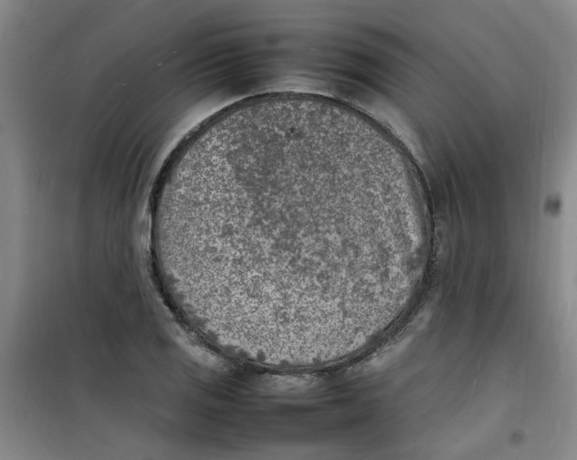 X0000100981125200807151409