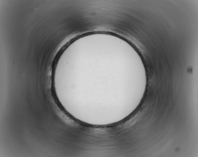 X0000100981126200807151409