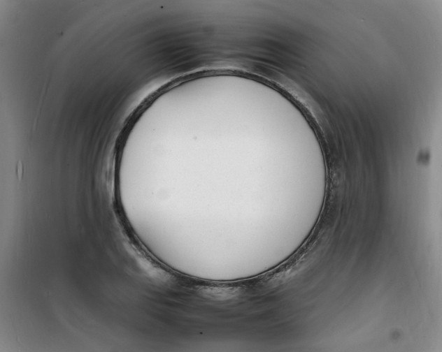 X0000100981127200807151409