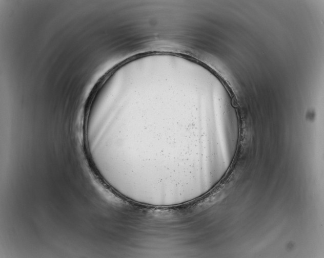 X0000100981128200807151409