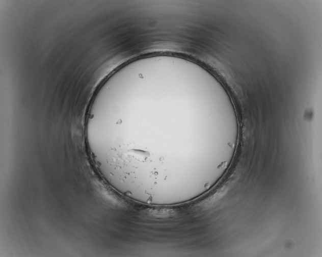 X0000100981129200807151409