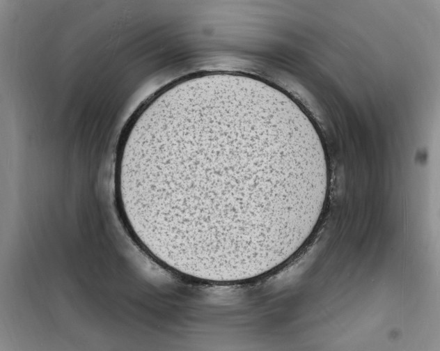 X0000100981130200807151409