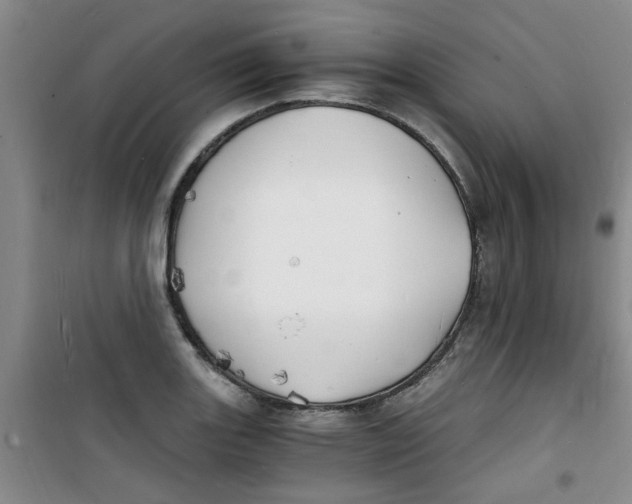 X0000100981131200807151409