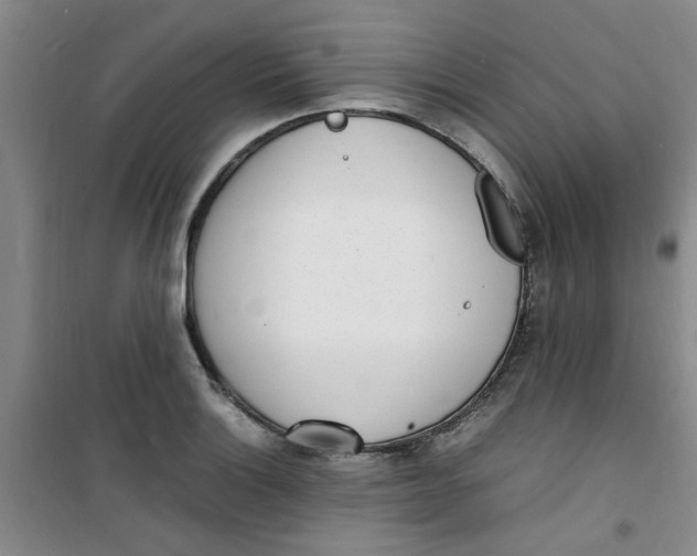 X0000100981132200807151409