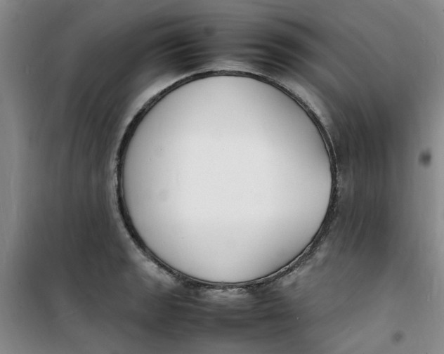 X0000100981133200807151409