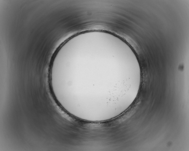 X0000100981134200807151409