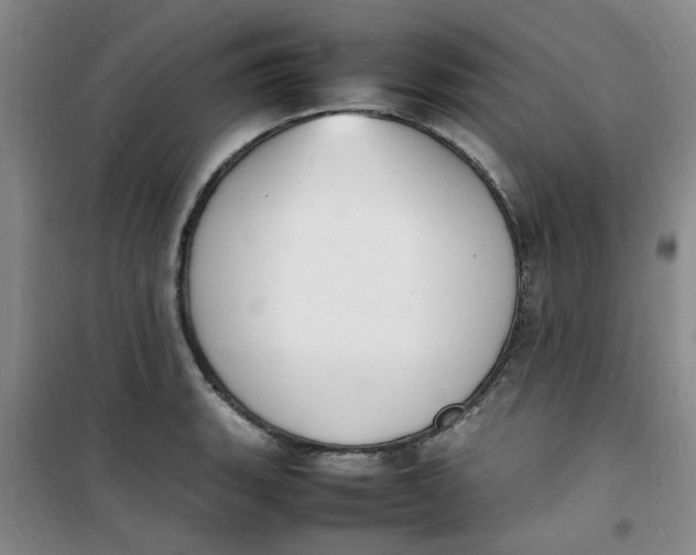 X0000100981135200807151409