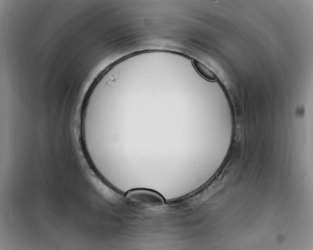 X0000100981136200807151409