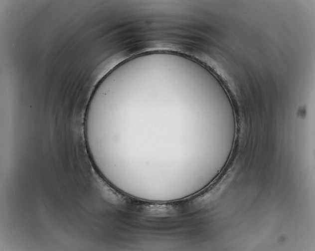 X0000100981137200807151409