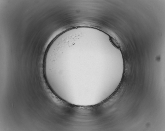 X0000100981138200807151409