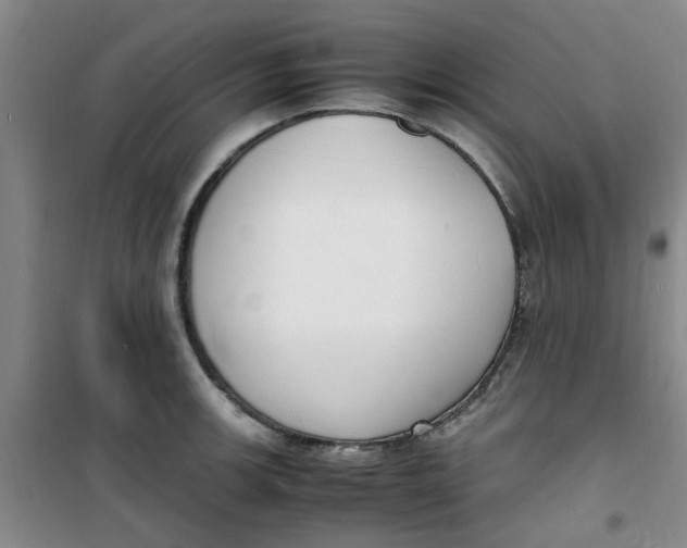 X0000100981139200807151409