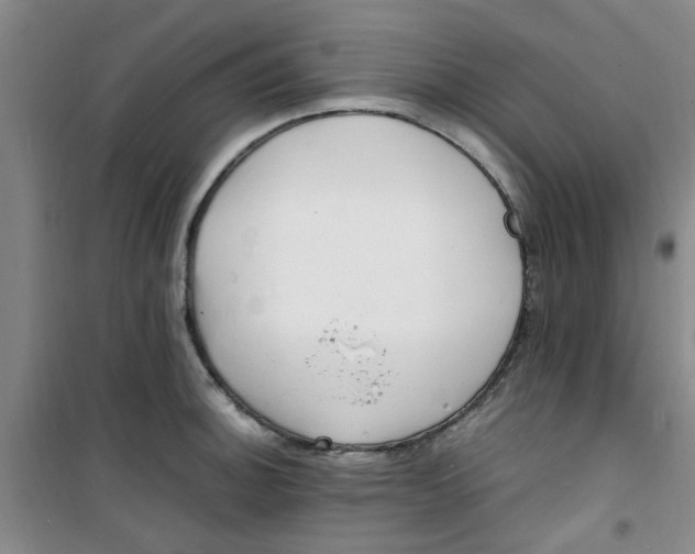 X0000100981140200807151409