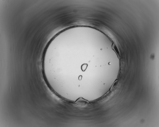 X0000100981141200807151409