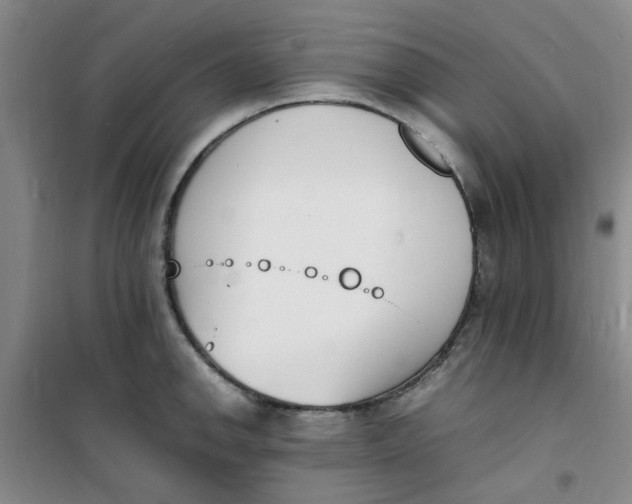 X0000100981142200807151409