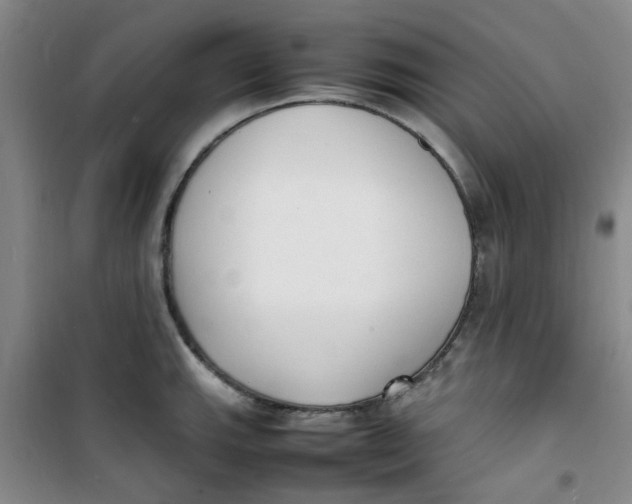 X0000100981143200807151409