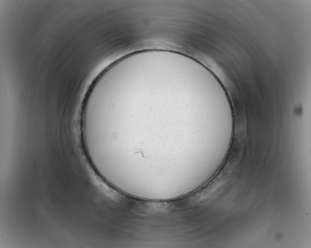 X0000100981144200807151409